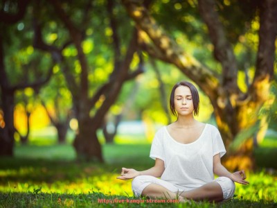 看球直播-意甲节奏较慢球队分析及其战术特点研究