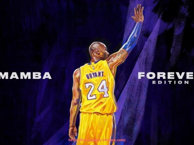 看球直播-福州舒华健身器材官方门店及产品推荐指南